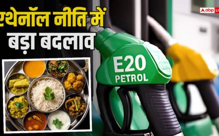 E20 पेट्रोल का नया संकट, क्या ईंधन के चक्कर में महंगी हो जाएगी आपकी थाली?