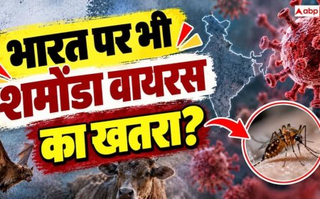 Shamonda Virus: फ्रांस में फैला शमोंडा वायरस, भारत के लिए कितना बड़ा खतरा