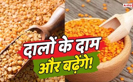 अरहर, मसूर जैसी दाल होगी और महंगी? 67% बढ़ा विदेशी दालों का आयात