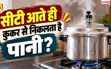 Pressure Cooker Tips: प्रेशर कुकर से बाहर निकल रही भाप, ये जुगाड़ आएगा काम