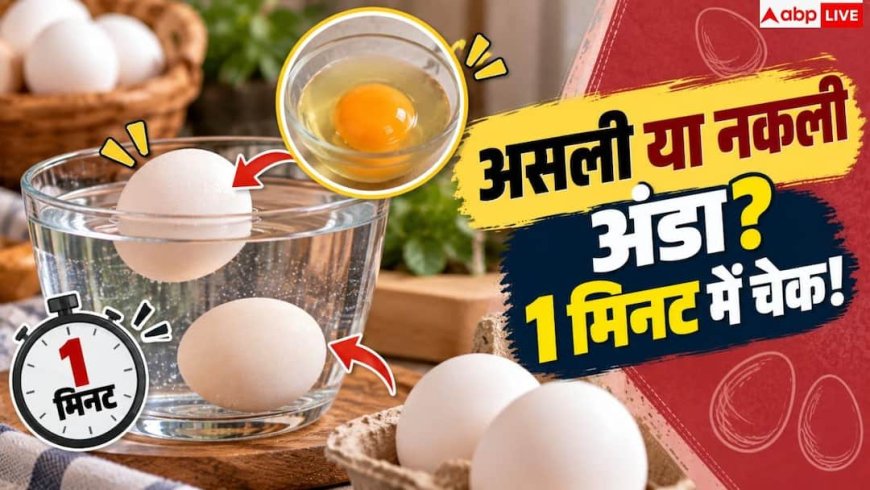 Real Egg Identification: असली और नकली अंडे की पहचान कैसे करें? नोट करें 2 मिनट का टेस्ट