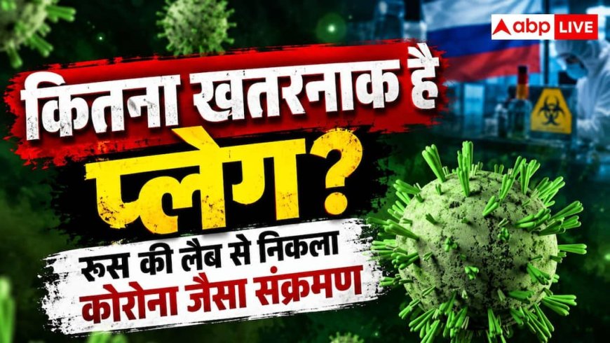 कितना खतरनाक है प्लेग? रूस की लैब से निकली बीमारी, ले चुकी है 8 करोड़ जानें