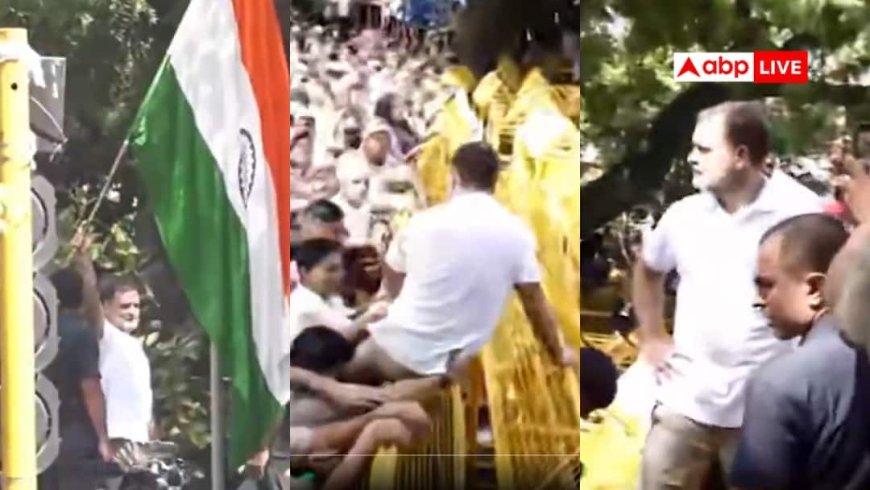 INDIA गठबंधन मार्च: बैरिकेडिंग पर चढ़कर राहुल ने लहराया तिरंगा, धरने से आई तस्वीर