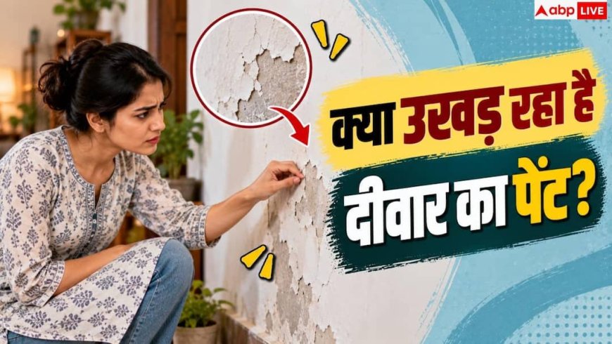 How To Fix Peeling Paint: दीवार पर कैलेंडर या पोस्टर लगाने से पेंट उखड़ जाता है? ऐसे बचाएं दीवार
