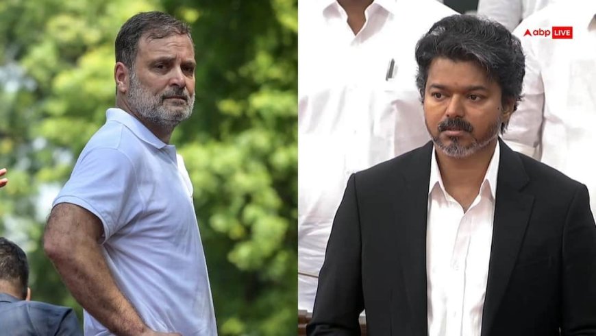 'विजय से डरते हैं राहुल गांधी इसलिए...', इंडिया गठबंधन के प्रदर्शन पर भड़की DMK