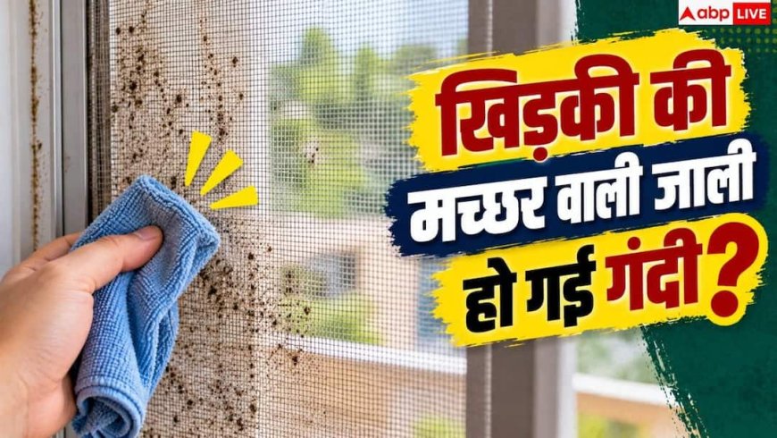Mosquito Net Cleaning: खिड़की की मच्छर वाली जाली में जम गई धूल? बिना मेहनत ऐसे हो जाएगी साफ