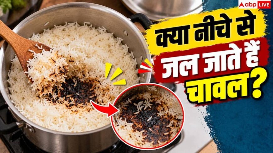 Rice Cooking Tips: बर्तन के तले में क्यों जलते हैं चावल? नोट करें 5 मिनट की ट्रिक