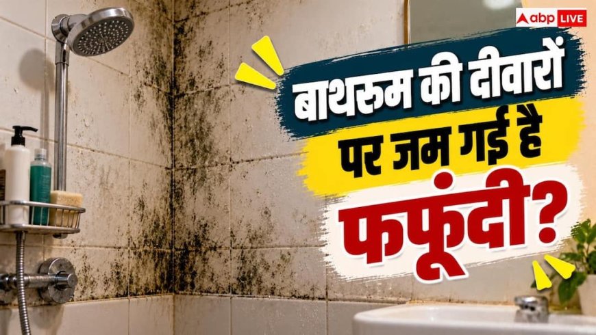 Bathroom Wall Mold: बाथरूम की दीवारों पर जम गई है फफूंदी? इसे ऐसे करें ठीक