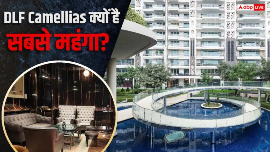 अशनीर ग्रोवर ने दिखाया 100 करोड़ का घर, DLF Camellias में क्या-क्या है?