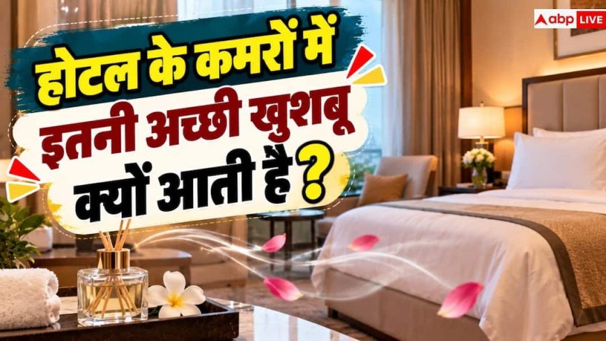 Hotel Room Fragrance: होटल जैसी खुशबू से महकेगा आपका घर! नोट करें कमरों के ये 4 सीक्रेट्स