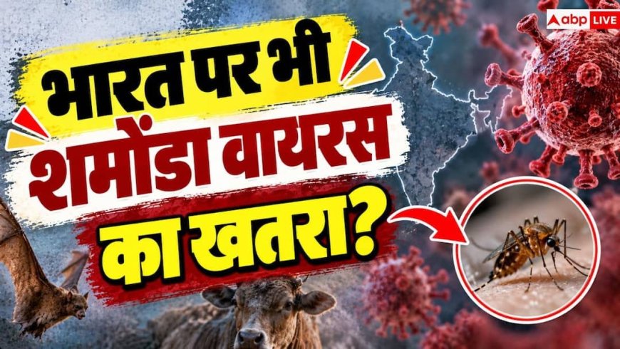 Shamonda Virus: फ्रांस में फैला शमोंडा वायरस, भारत के लिए कितना बड़ा खतरा