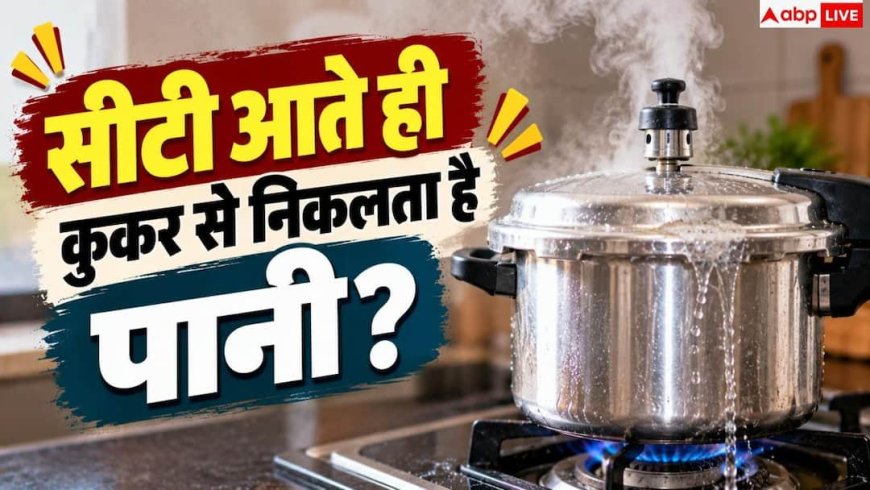 Pressure Cooker Tips: प्रेशर कुकर से बाहर निकल रही भाप, ये जुगाड़ आएगा काम